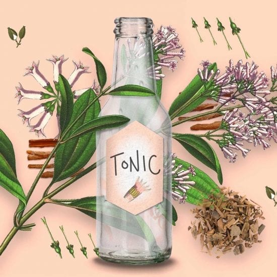 Tonic Water Chinarinde | Mixology — Magazin für Barkultur