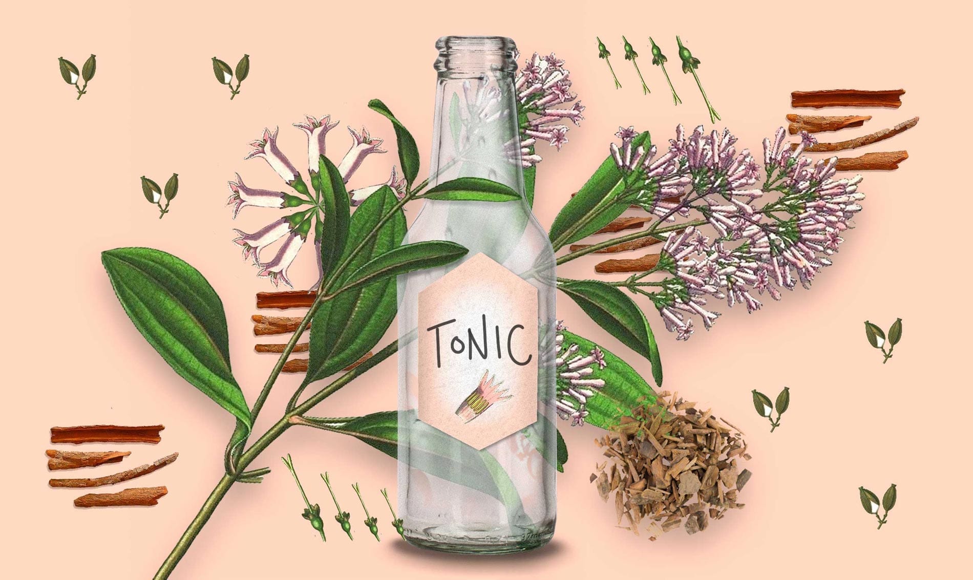 Tonic Water Chinarinde | Mixology — Magazin für Barkultur