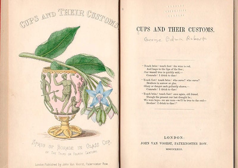 Cups and Their Customs_Martin Stein