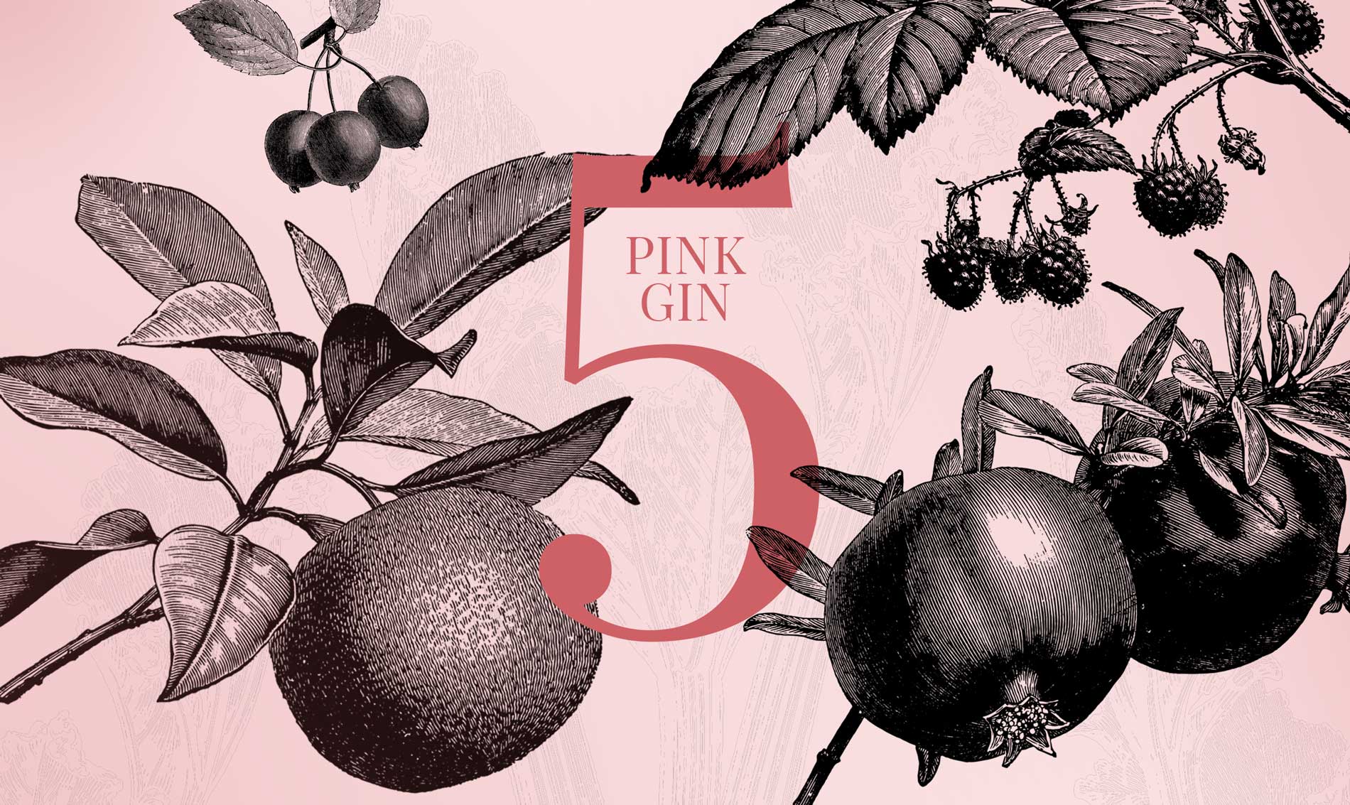 5 Pink Gin in der Verkostung | Mixology - Magazin für Barkultur