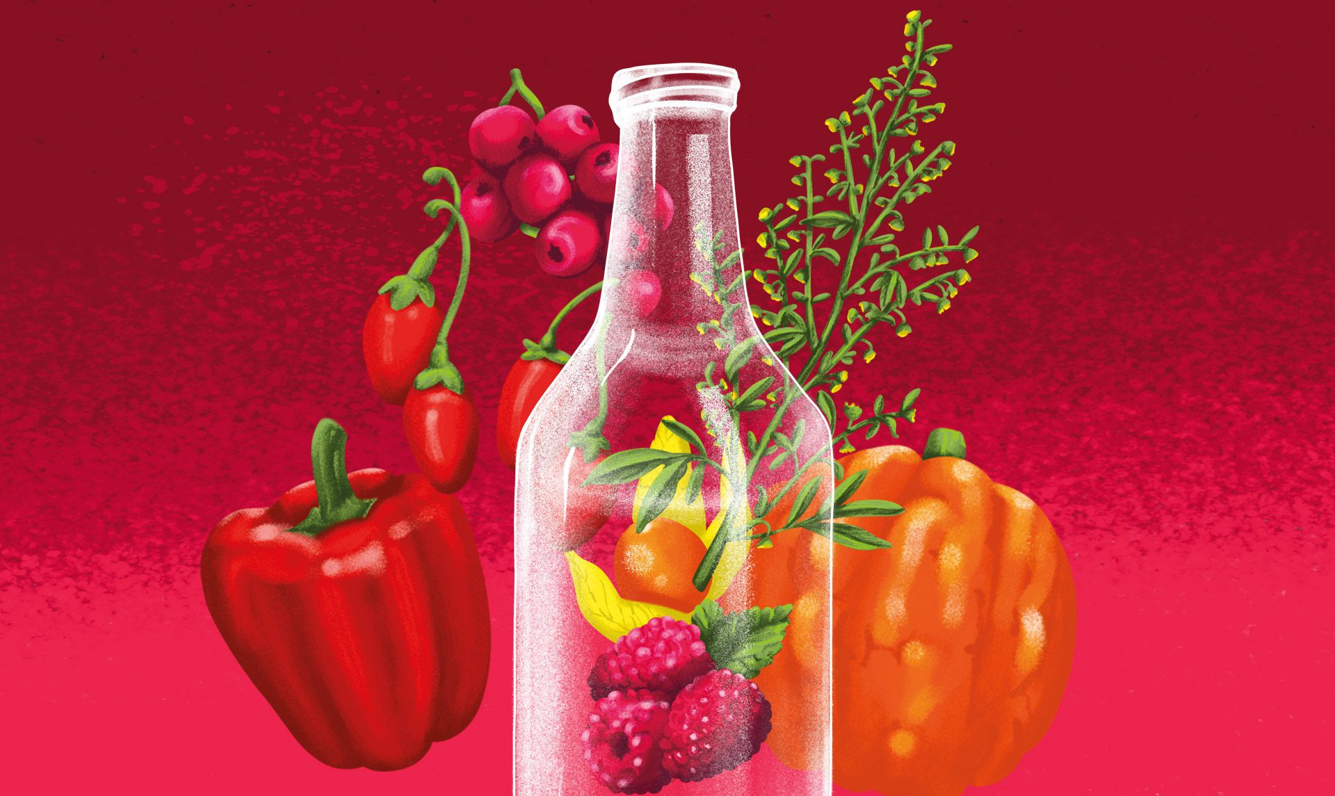 Burschik's ist der beste Rosé-Wermut im Mixology Taste Forum